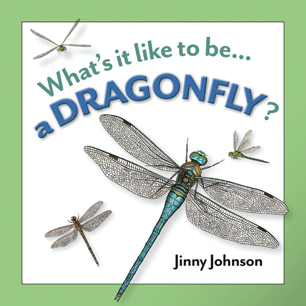 A Dragonfly?