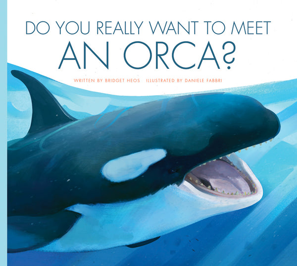 Do You Really Want to Meet an Orca?