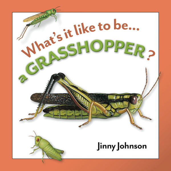 A Grasshopper?