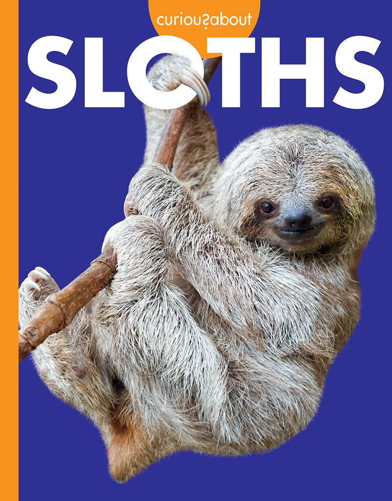 Curious about Sloths