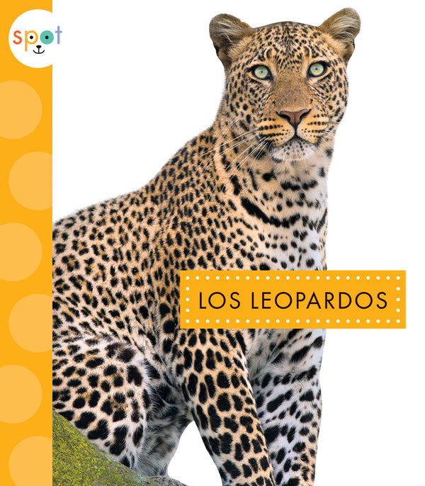 Los leopardos