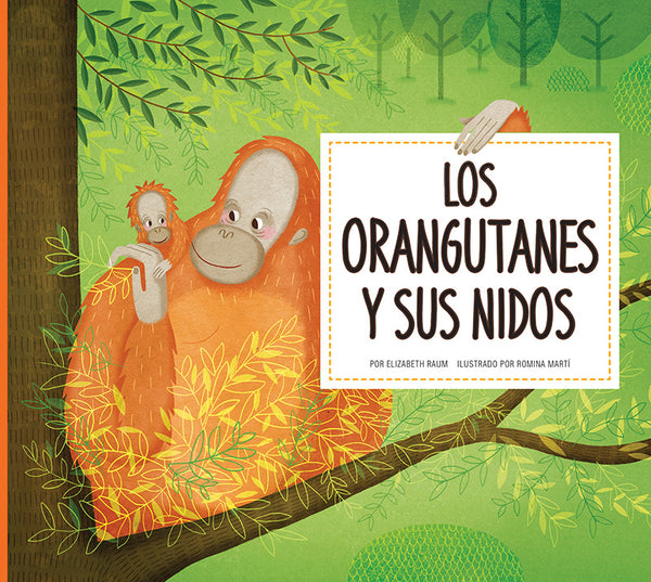 Los orangutanes y sus nidos
