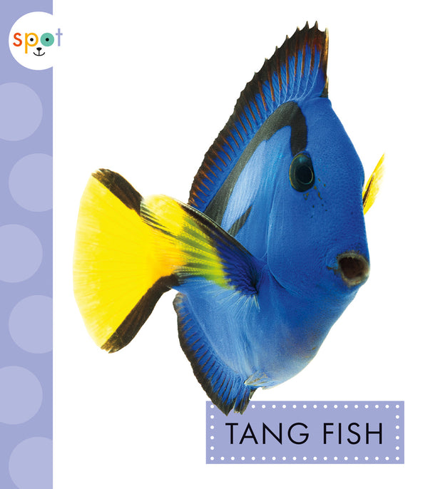 Tang Fish