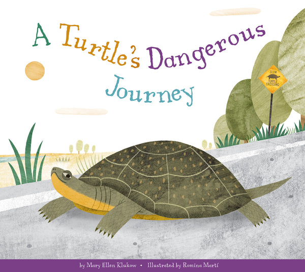 A Turtle's Dangerous Journey