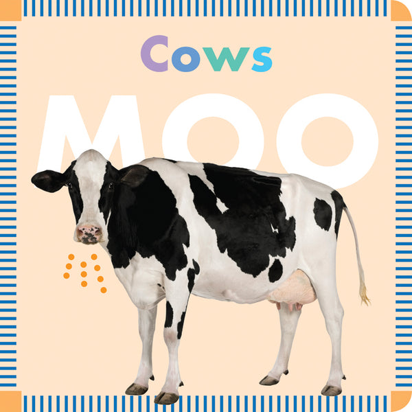 Cows Moo